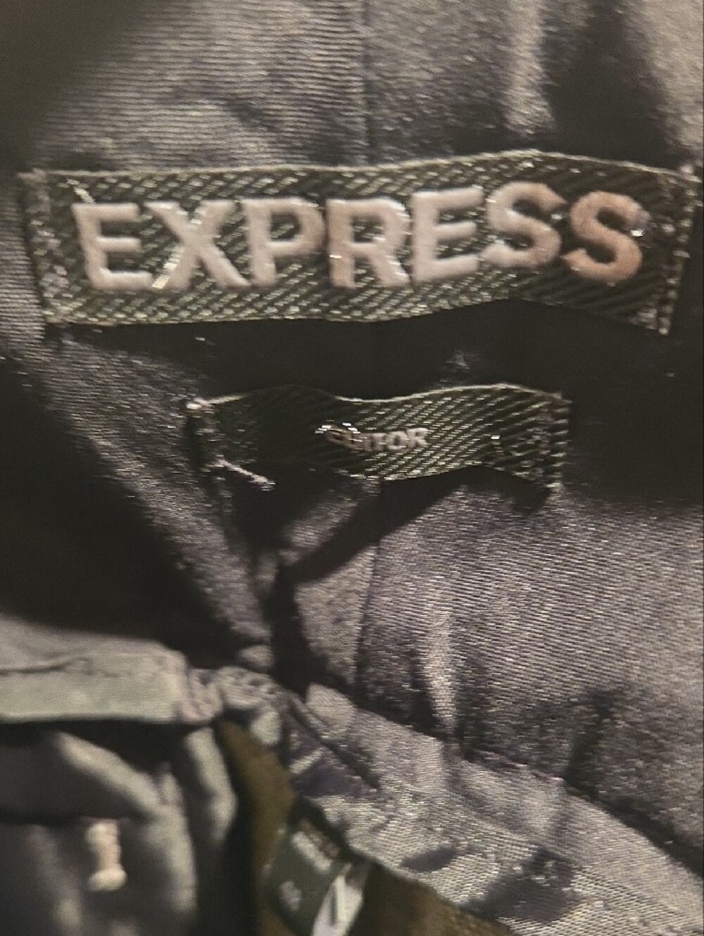 Express Womens Editor Pants - Picture 2 of 5